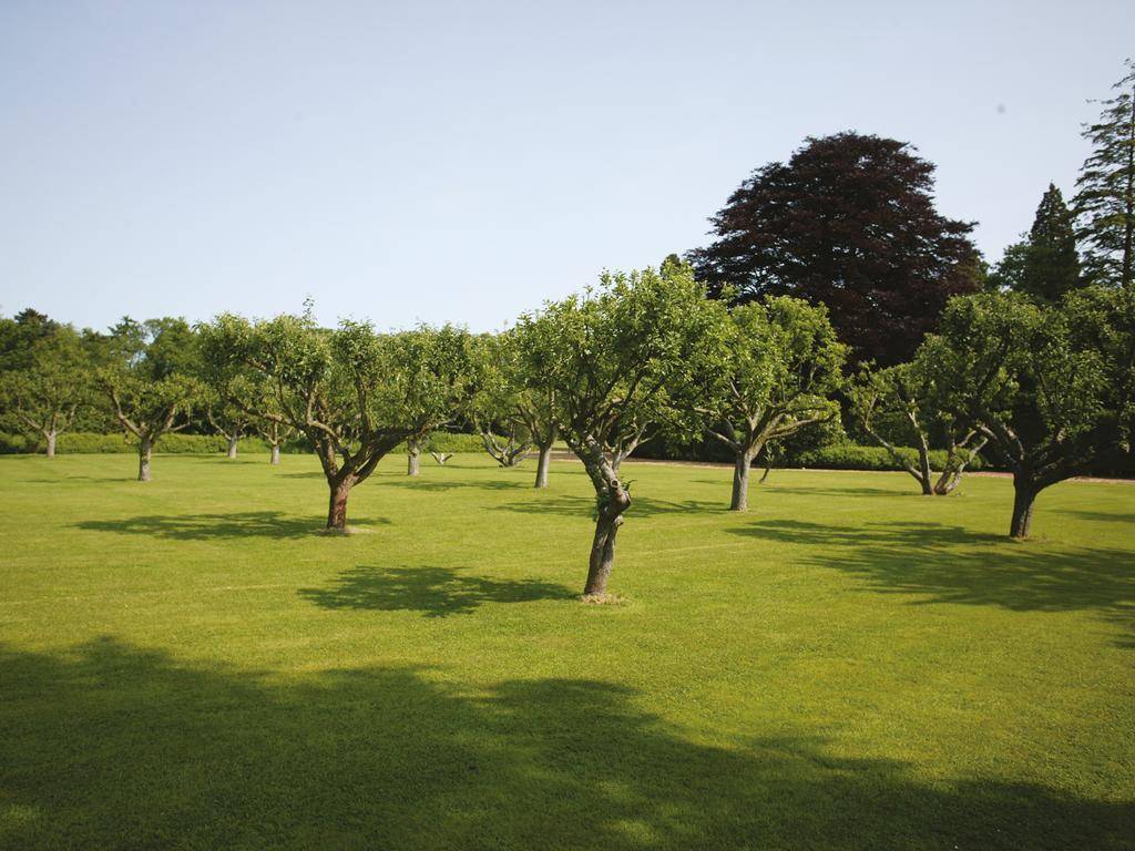 Woodside Hotel, Kenilworth - Warwick מראה חיצוני תמונה